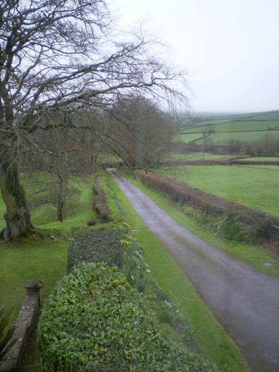 Buckley Farmhouse B & B Sidmouth Ngoại thất bức ảnh
