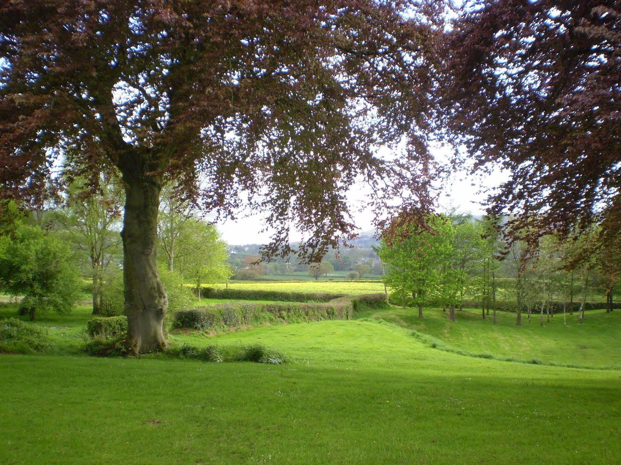 Buckley Farmhouse B & B Sidmouth Ngoại thất bức ảnh