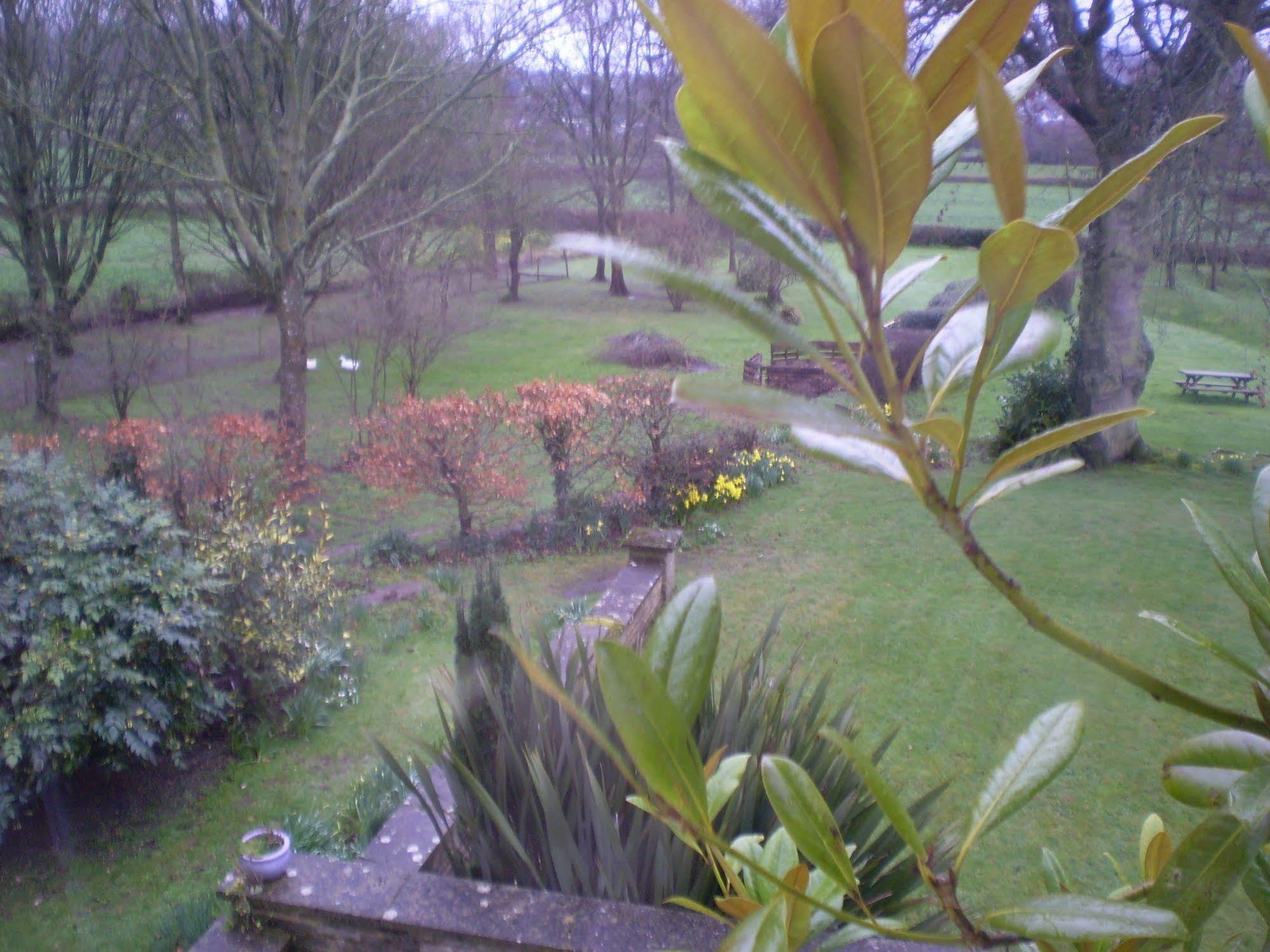 Buckley Farmhouse B & B Sidmouth Ngoại thất bức ảnh